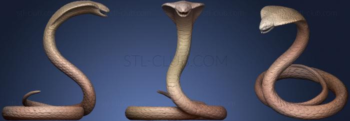 3D model King Cobra (STL)